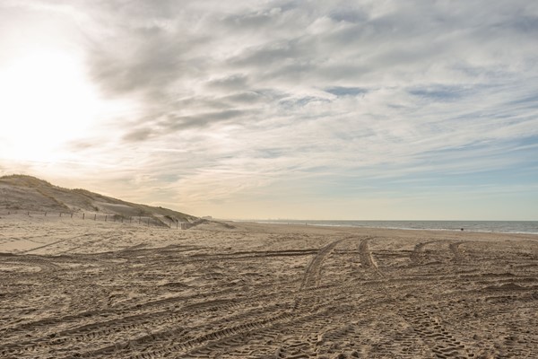 Medium property photo - Pluvierstraat 308, 2583 KE Den Haag